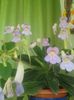20160709_092749