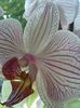 20160715_081732