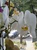 20160715_081801