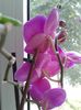 20160715_081829