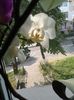 20160715_081836
