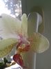 20160715_081841
