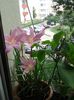 20160715_145953