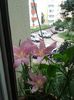20160715_145959