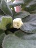 20160715_192229