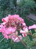 20160715_193234