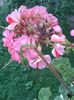 20160715_193244