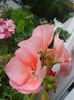 20160715_193250