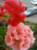 20160715_193302