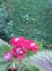 20160715_193307