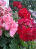 20160715_193317