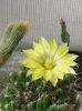 20160716_095021