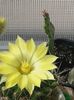 20160716_095026