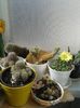 20160716_095035