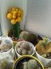 20160716_095042