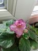20160716_095059