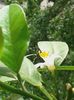 20160716_095447