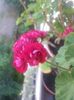 20160716_195802