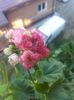 20160716_195740