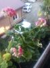 20160716_195726