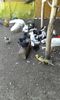 20160715_101527