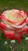 WP_20160717_13_38_36_Pro