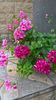 WP_20160717_13_29_48_Pro