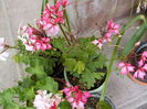 DSCN0786[1]