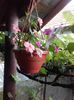 20160716_141528