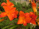 086