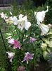 IMG_20160705_102925