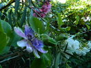 DSCN2519