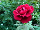 DSCN2521