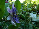 DSCN2523