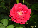 DSCN2529