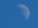 DSCN2537