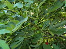 DSCN2541