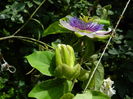 DSCN3064