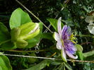 DSCN3066