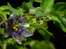 DSCN3179