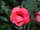 DSCN1783