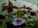 DSCN2129