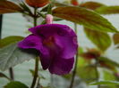 DSCN2130