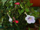 DSCN2561