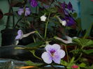 DSCN2563