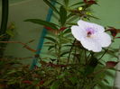 DSCN2774
