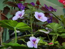 DSCN2776