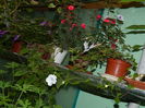 DSCN2782