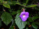 DSCN2808