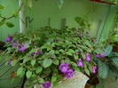 DSCN2882